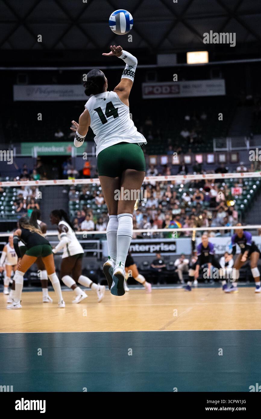 Portland vs Hawaii di Women's Volleyball Game : Rainbow Wahine gagne 3-2 Banque D'Images