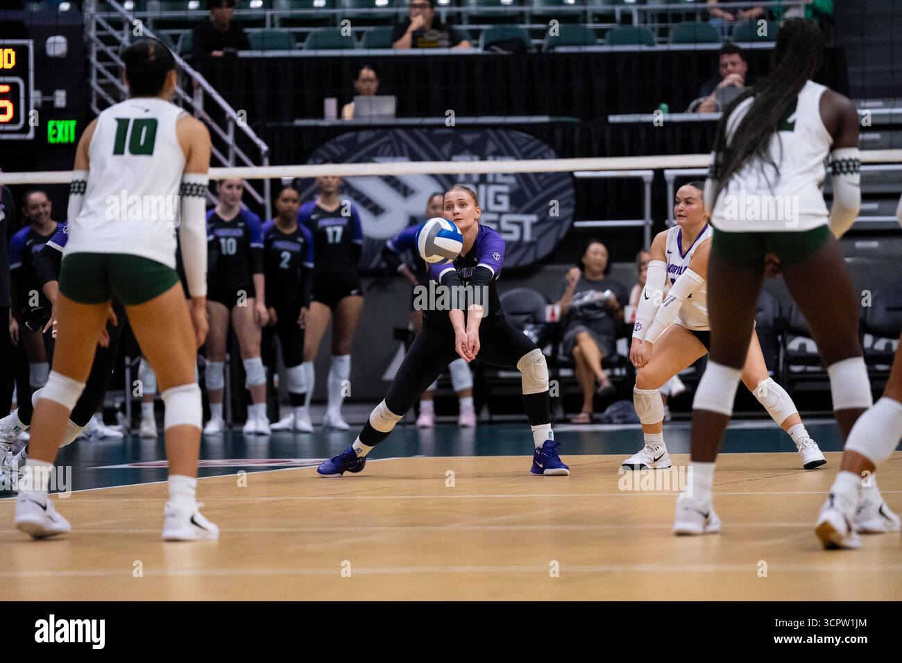 Portland vs Hawaii di Women's Volleyball Game : Rainbow Wahine gagne 3-2 Banque D'Images