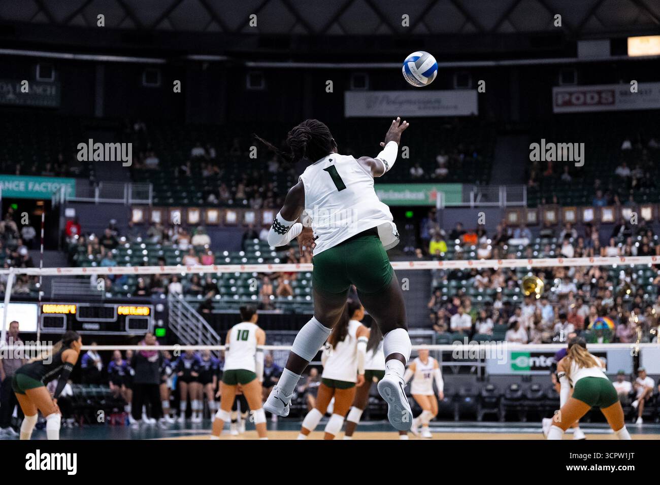 Portland vs Hawaii di Women's Volleyball Game : Rainbow Wahine gagne 3-2 Banque D'Images
