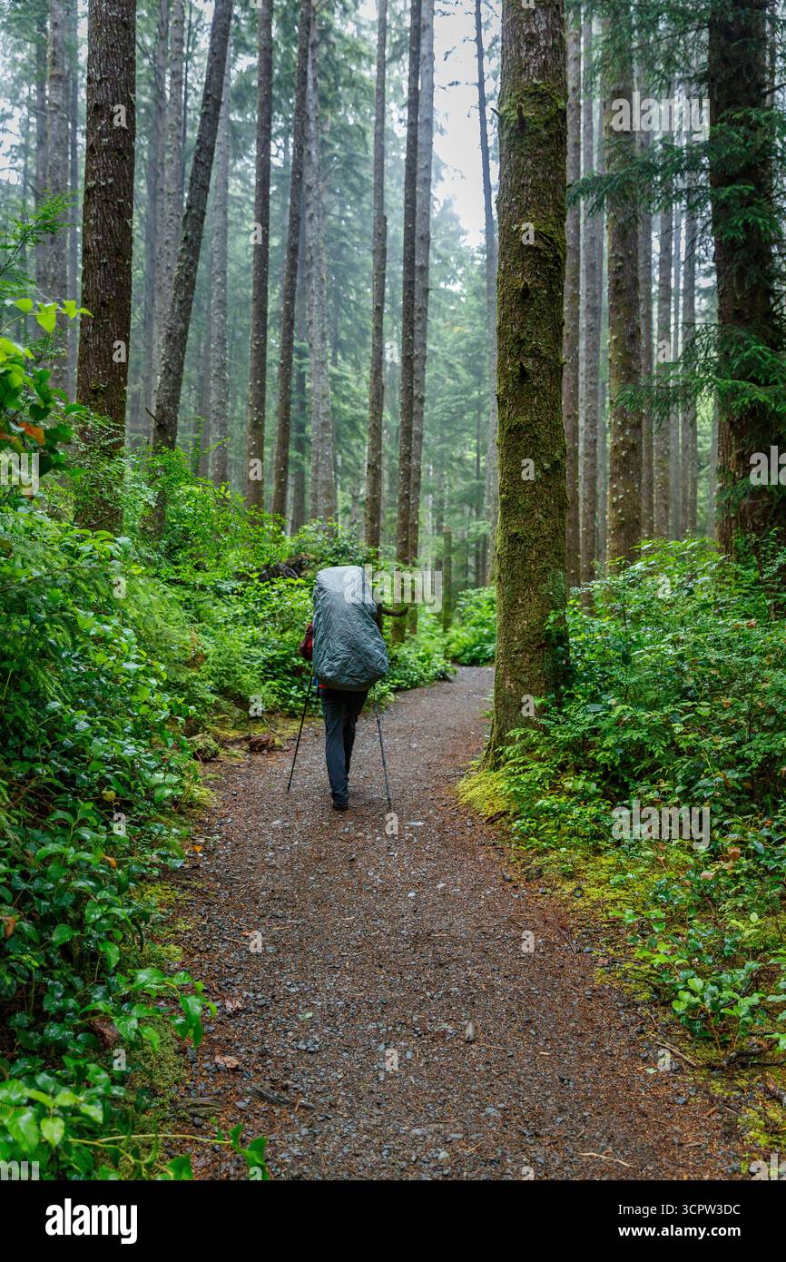 Un randonneur avec un grand sac à dos et des bâtons de trekking marche le long d'un sentier à travers une forêt dense. Banque D'Images