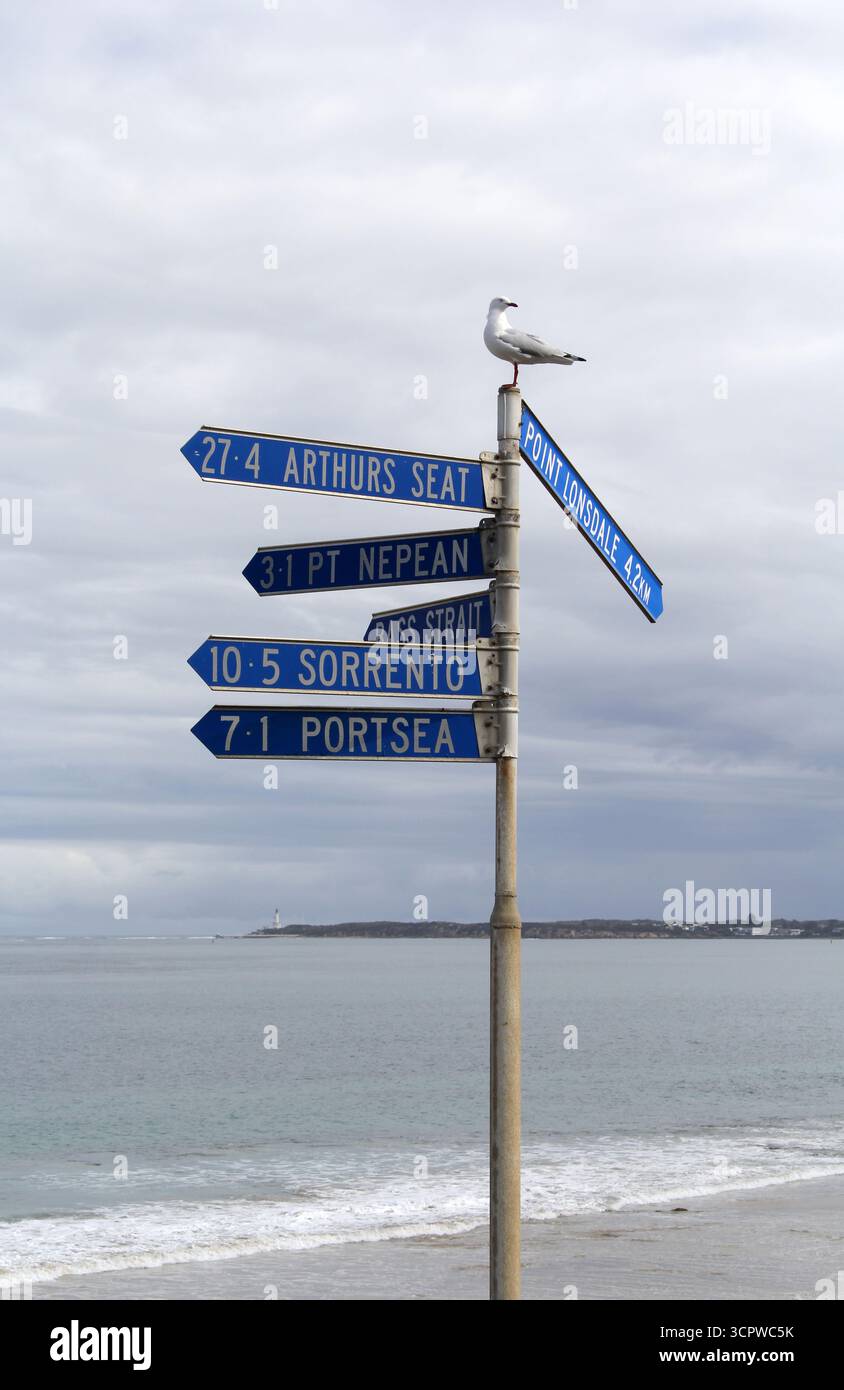 Panneau indiquant Arthurs Seat, point Lonsdale, Pt Nepean, Bass Strait, Sorrento, Portsea avec une mouette à Queenscliff, Victoria, Australie Banque D'Images