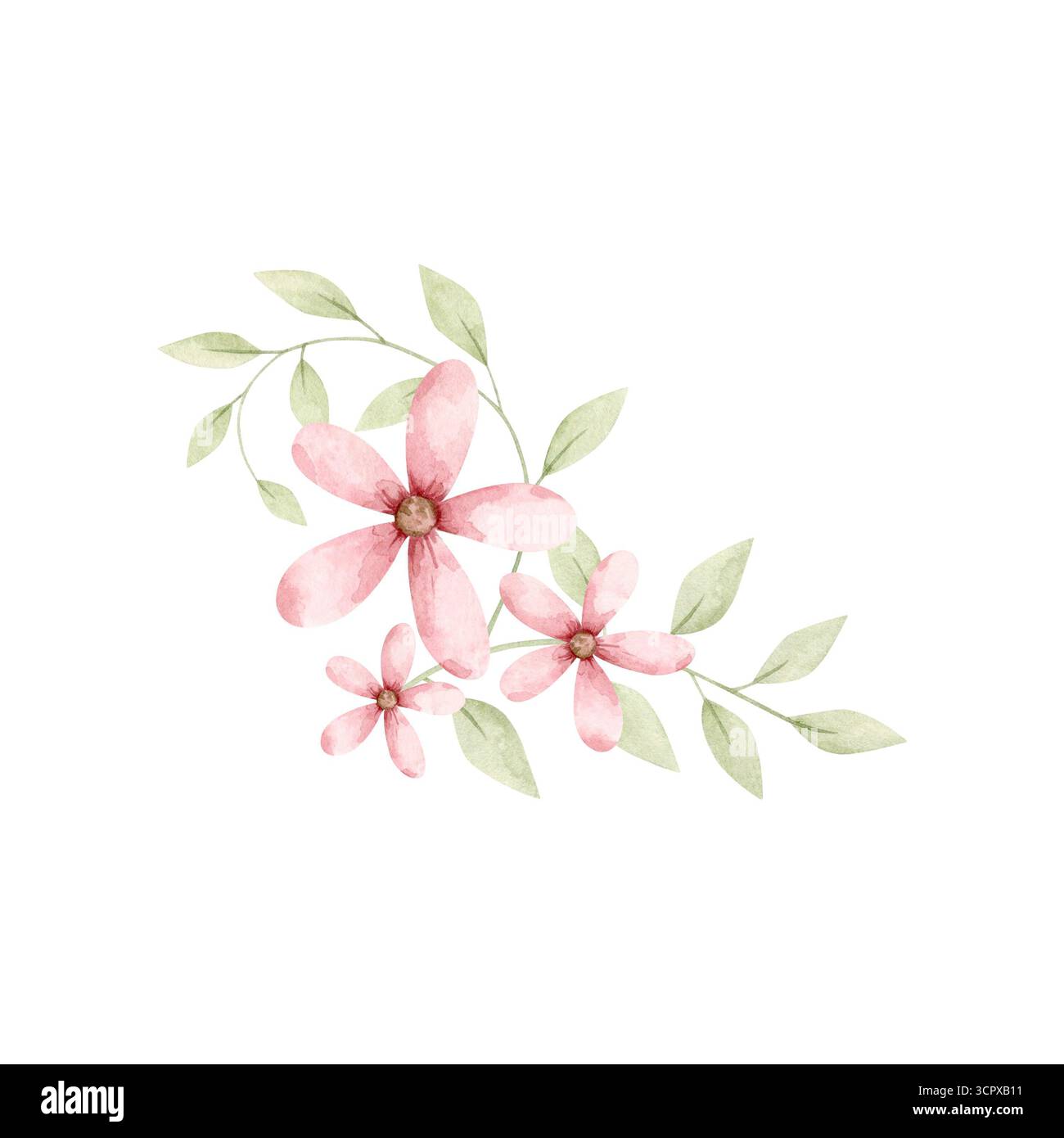 C'est une fille. Compositions florales à l'aquarelle dessinées à la main avec des feuilles tendres et des fleurs roses. Pour la douche de bébé design, la fête de révélation de genre et le nourrisson Banque D'Images