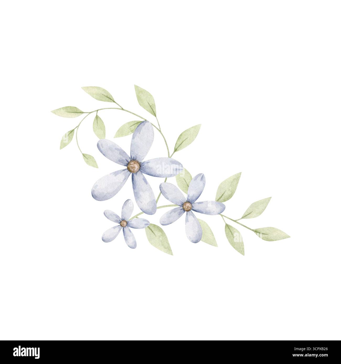 C'est un garçon. Compositions florales à l'aquarelle dessinées à la main avec des feuilles tendres et des fleurs bleues. Pour la douche de bébé design, la fête de révélation de genre et la pépinière Banque D'Images