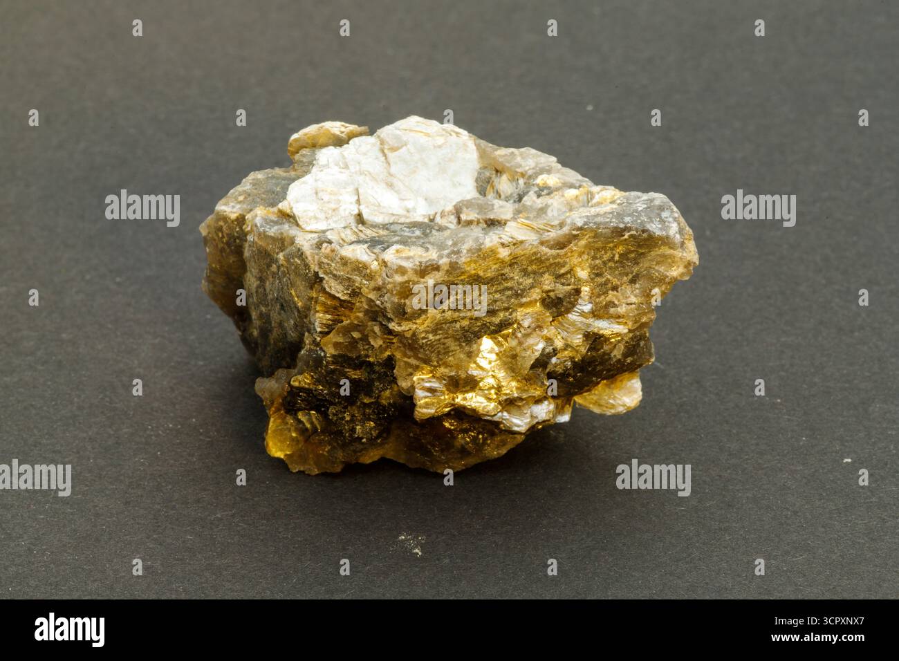 Gros plan d'une roche minérale brun doré, peut-être du mica, avec des inclusions blanches et noires sur un fond gris foncé. Aussi appelé Muskowit. Banque D'Images