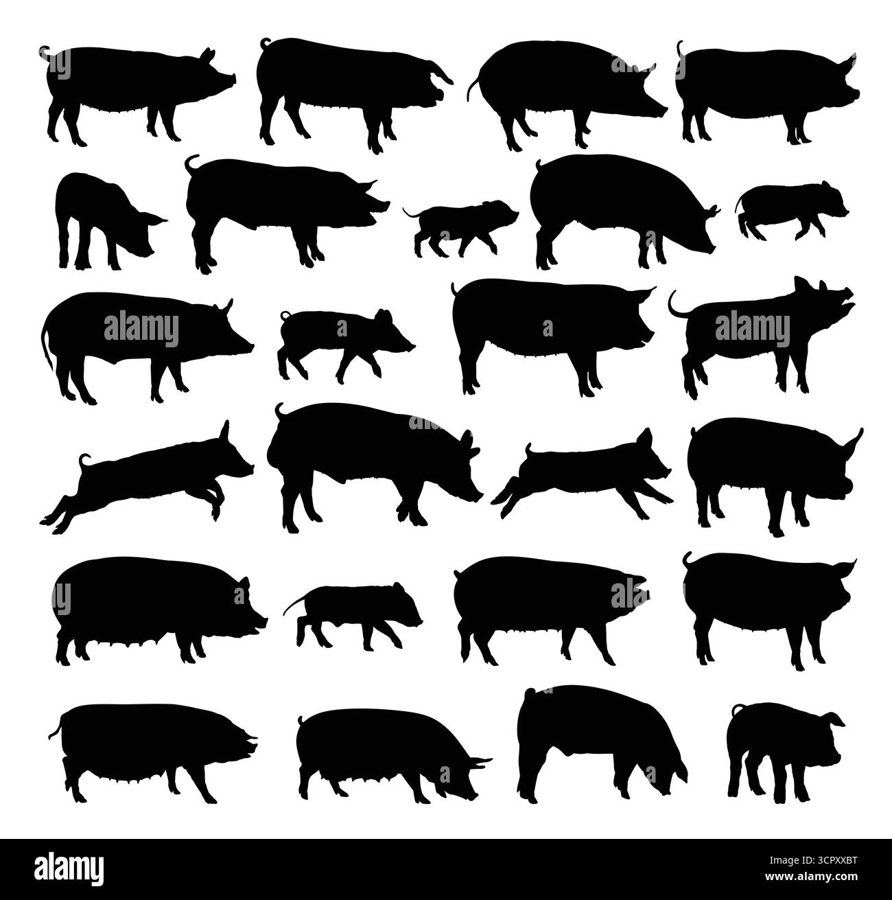 Le grand ensemble de silhouettes de porcs domestiques. Illustration de Vecteur