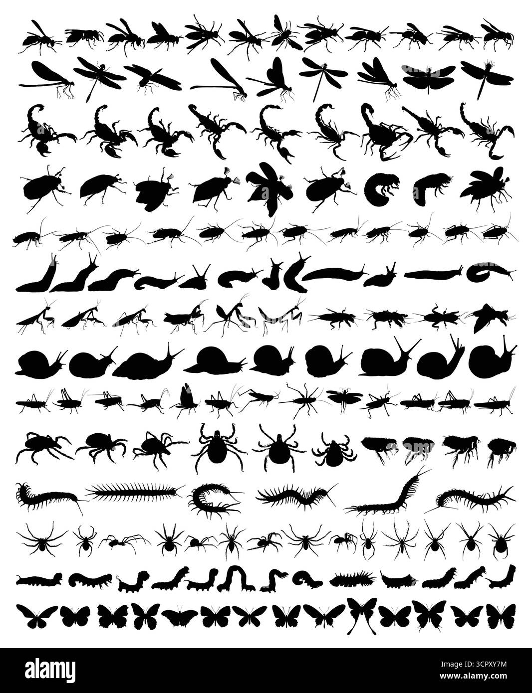 Le grand ensemble de silhouettes d'insectes. Illustration de Vecteur