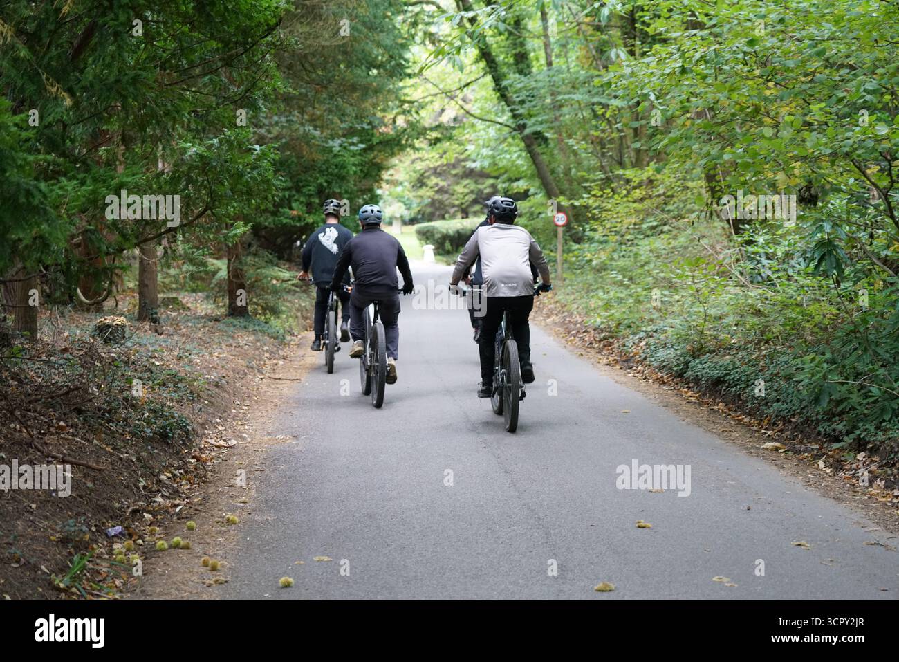 Groupe de cyclistes chevauchant à travers Green Forest Path dans Un parc pour Une balade de loisirs. Mary, Holmbury, Angleterre Banque D'Images
