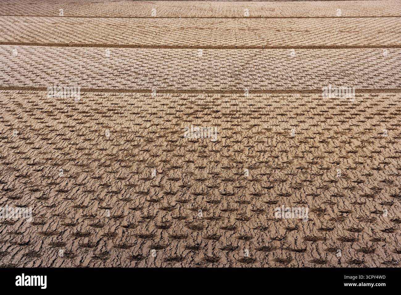 Marquages de machines agricoles sur un champ Banque D'Images