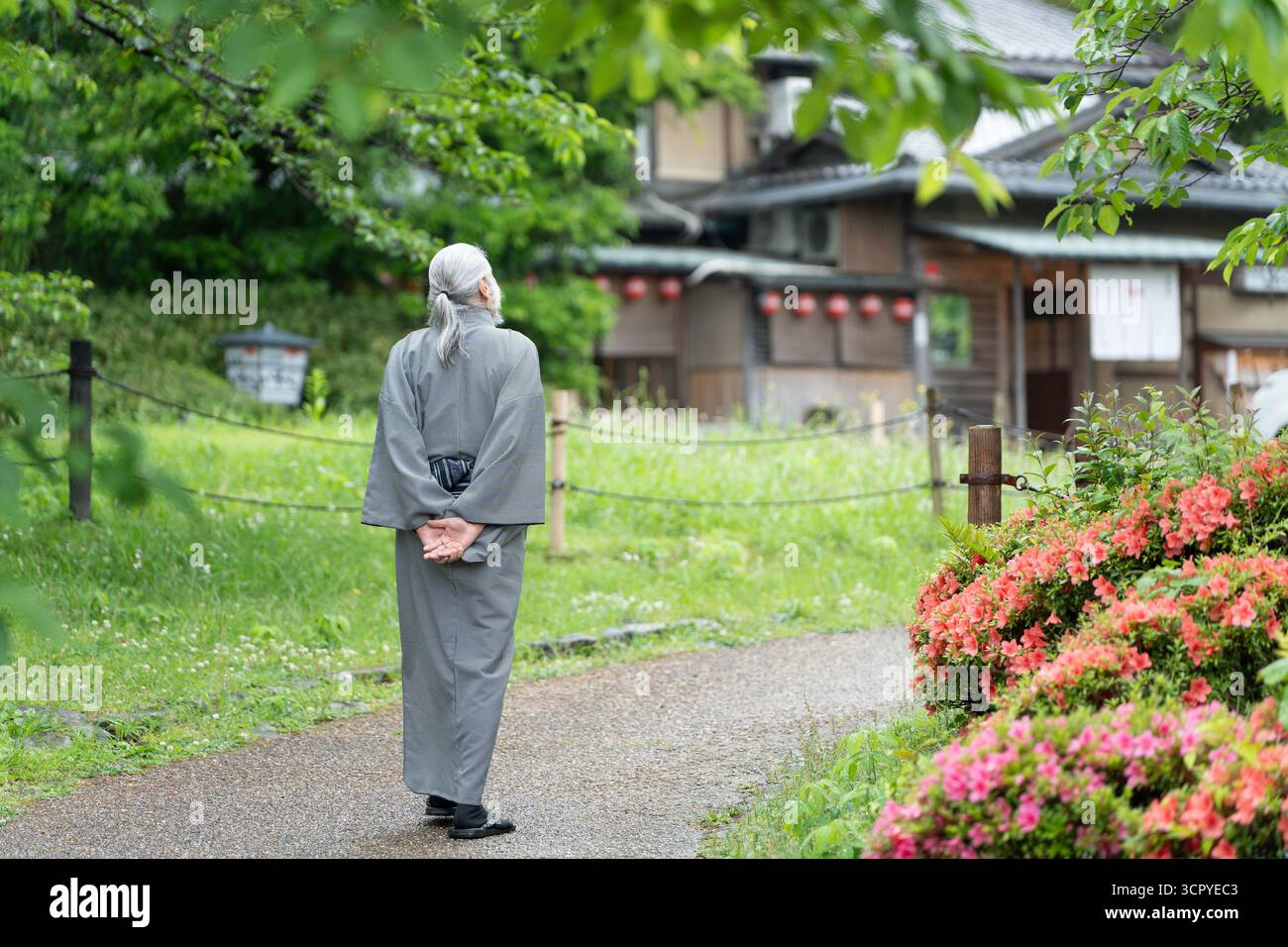 Homme âgé dans un kimono traditionnel vu de derrière, se promenant le long d'un chemin de jardin verdoyant. Kyoto, Japon. Banque D'Images