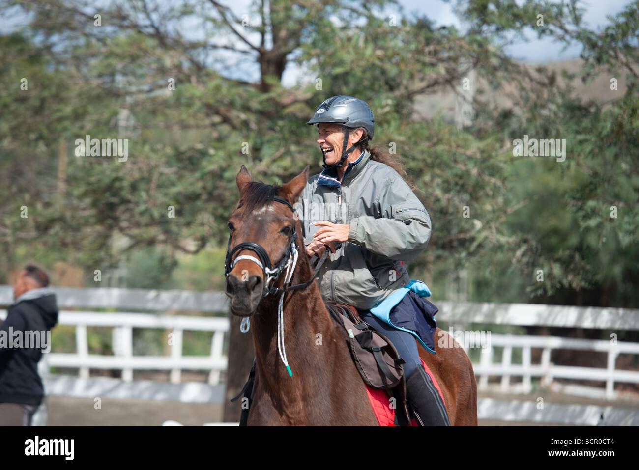 Cheval s'exerçant dans un anneau d'équitation à Pizarra, Andalousie, Espagne Banque D'Images