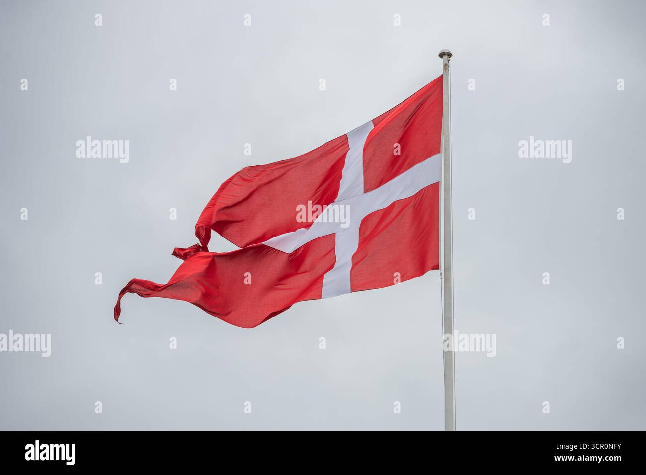 Le drapeau danois flotte fièrement sur un mât de drapeau, affichant son fond rouge et sa croix blanche sur un ciel nuageux et couvert. L'atmosphère est calme et réfléchie. Banque D'Images