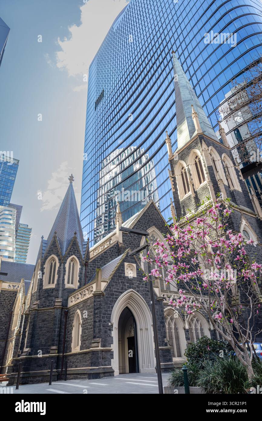 Une église unissante Wesley, Melbourne. Arbre magnolia en fleurs. Victoria, Australie. Banque D'Images