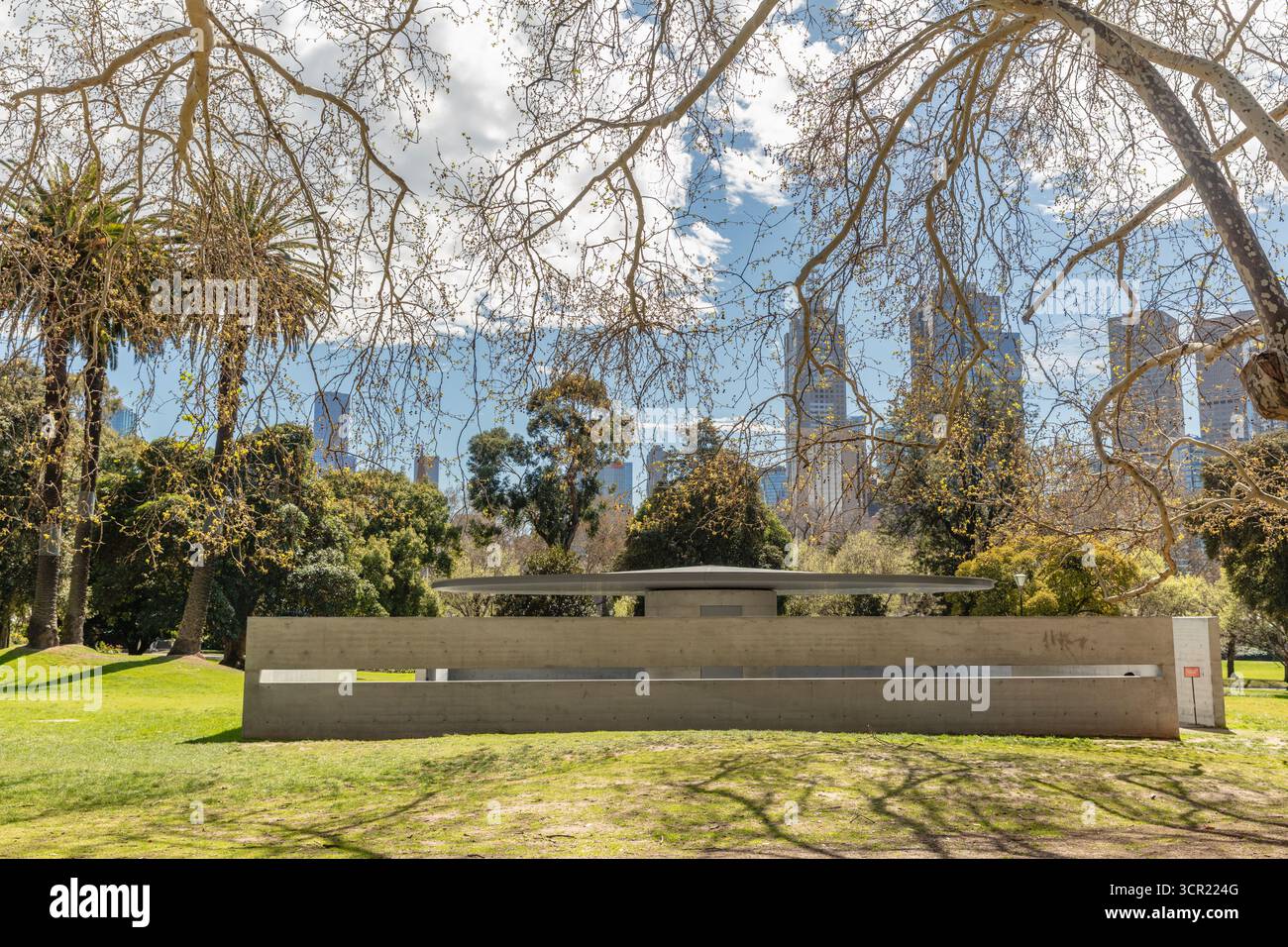 Platanus (avions ou platanes) aux jardins Queen Victoria à Melbourne, Australie. Banque D'Images