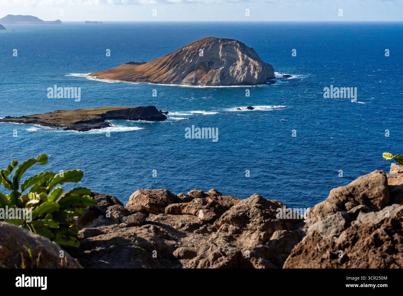 Capturée depuis les côtes escarpées de O'ahu, l'île Rabbit (Mānana ?) s'élève dans une beauté crue et balayée par le vent - une sentinelle silencieuse dans le Pacifique. Banque D'Images