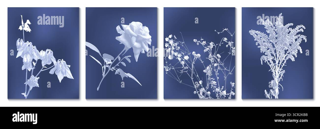 Impressions botaniques cyanotype avec fleurs sauvages, fleurs de rose, herbes de prairie et spécimens de branches feuillus sur fond bleu profond. Technique photographique classique avec silhouettes blanches sur surface indigo. Illustration de Vecteur
