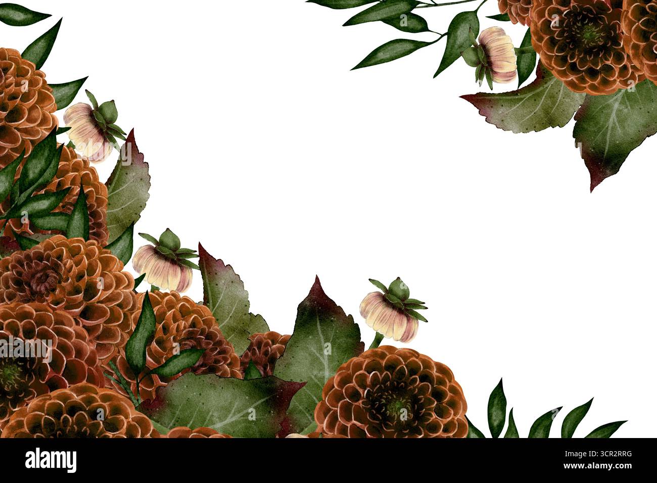 Illustration de cadre aquarelle dessinée à la main avec des fleurs de dahlia foncées, des feuilles vertes et hellebore sur fond blanc. pour mariage, funérailles, invitations, cartes postales, emballage, design décoratif et cartes Banque D'Images