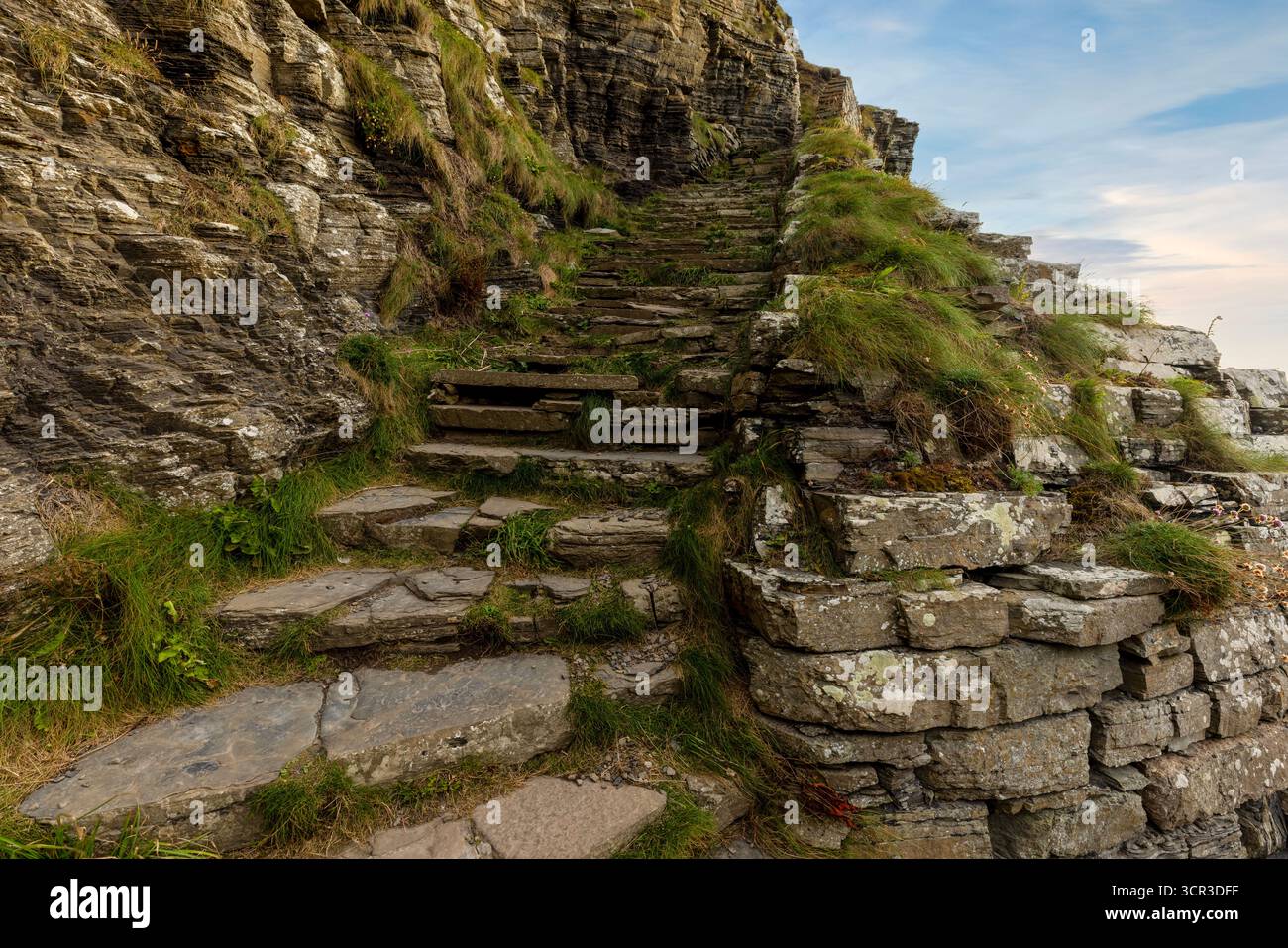 Les marches de Whaligoe à Caithness, un escalier spectaculaire du XVIIIe siècle creusé dans les falaises escarpées menant à un port naturel historique Banque D'Images