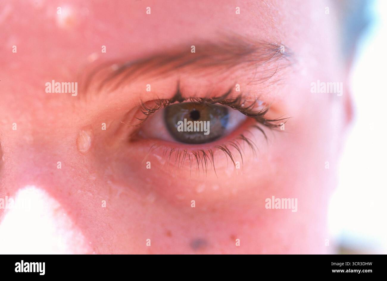 Les yeux des filles. Banque D'Images