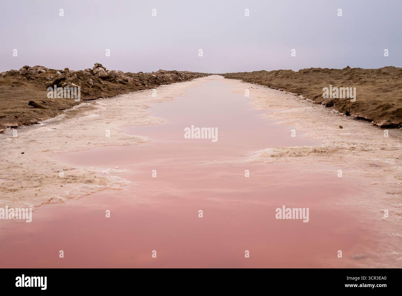 Salines roses avec de l'eau riche en minéraux dans Sandwich Harbour, parc national Namib-Naukluft, Namibie. Paysage désertique accidenté avec des couleurs et tex uniques Banque D'Images