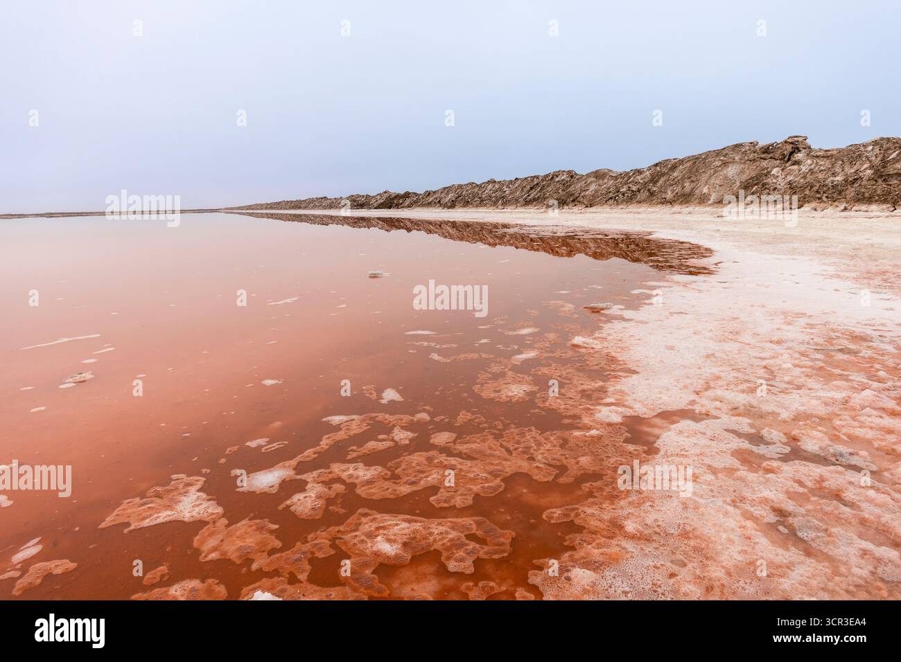 Salines roses avec de l'eau riche en minéraux dans Sandwich Harbour, parc national Namib-Naukluft, Namibie. Paysage désertique accidenté avec des couleurs et tex uniques Banque D'Images
