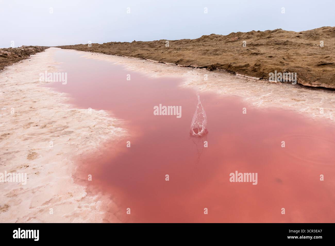 Salines roses avec de l'eau riche en minéraux dans Sandwich Harbour, parc national Namib-Naukluft, Namibie. Paysage désertique accidenté avec des couleurs et tex uniques Banque D'Images