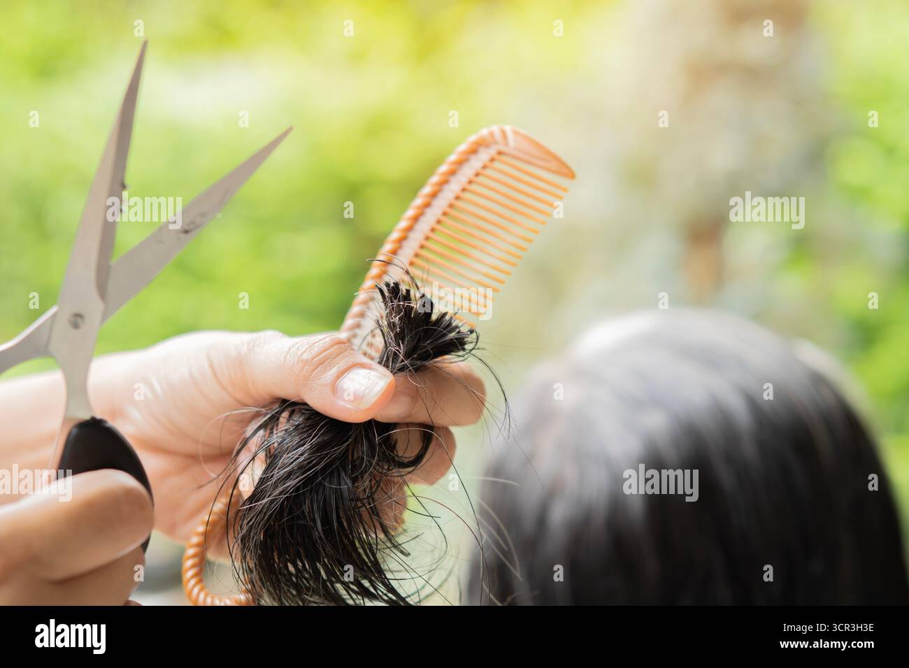 Coiffeur fait une coupe de cheveux à une femme âgée dans la nature à la maison. Le coiffeur coupe les cheveux mouillés, peignant avec un peigne. Vue arrière. Banque D'Images