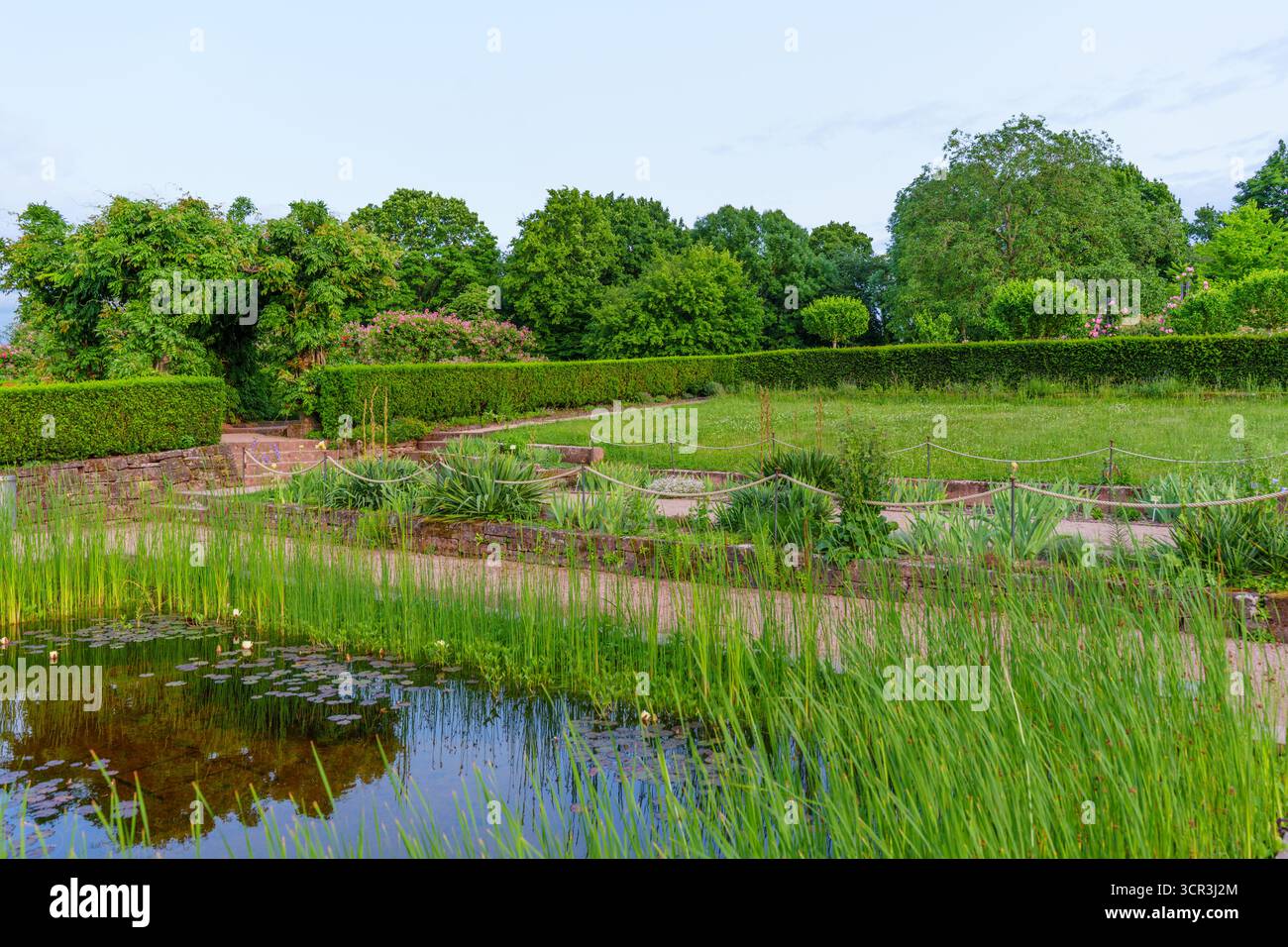 Paysage serein avec un étang tranquille entouré d'herbe verte vibrante, de fleurs colorées et de haies soigneusement entretenues dans le parc Rosenhoehe. Banque D'Images