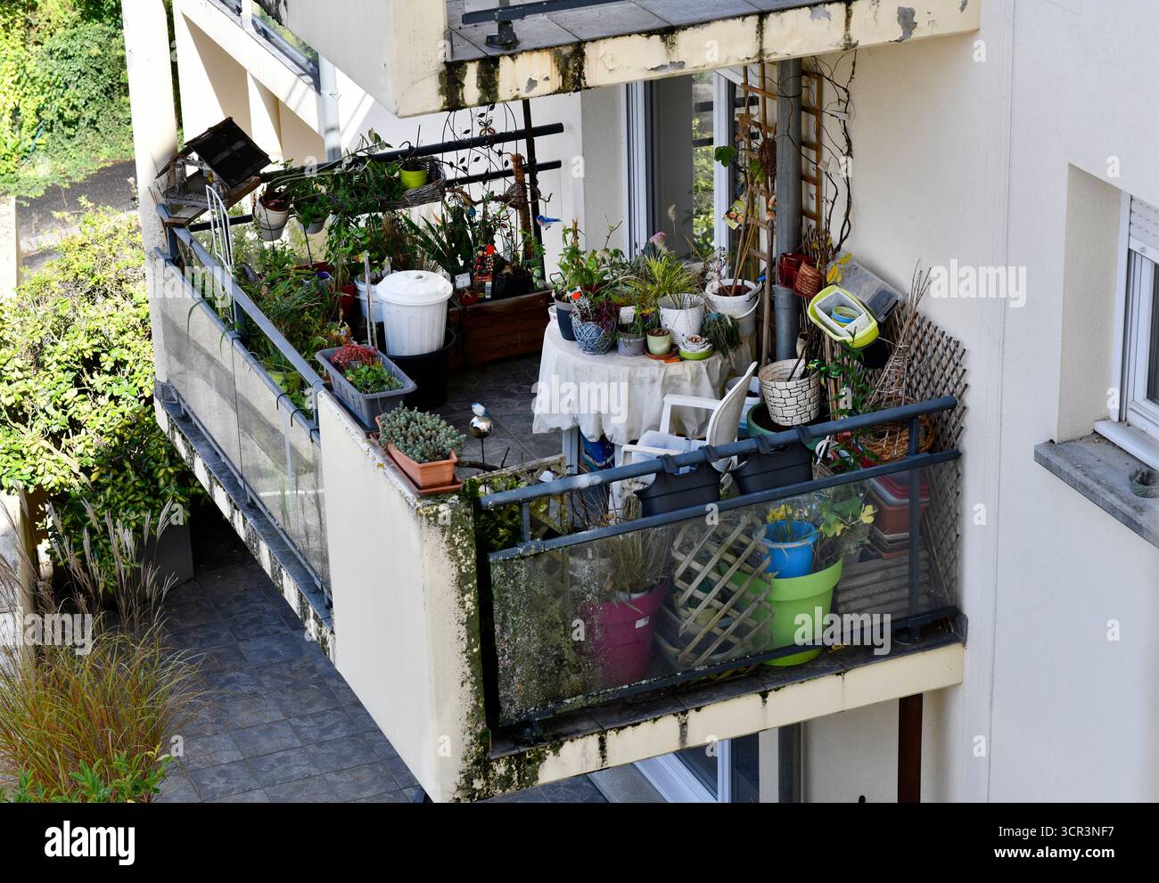 Appartement balcon plein de plantes Kaysersberg dans la région Alsace de la France. Banque D'Images