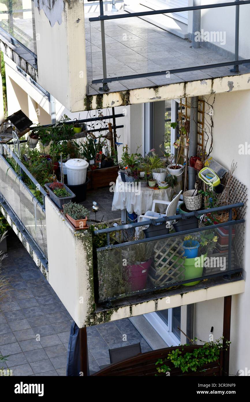 Appartement balcon plein de plantes Kaysersberg dans la région Alsace de la France. Banque D'Images