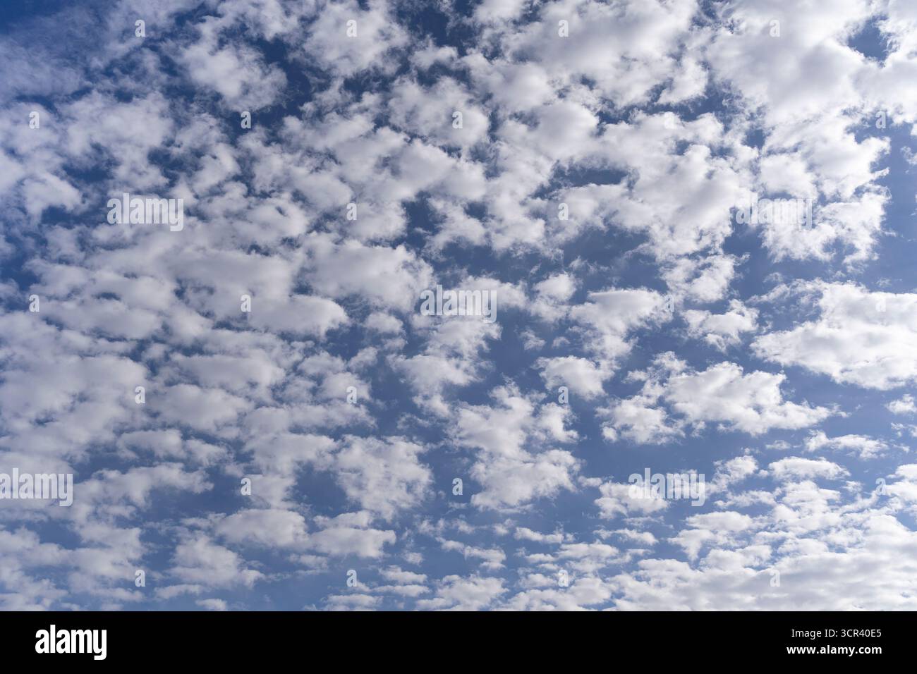 Nuages patchy haute résolution sur fond de ciel bleu. Banque D'Images