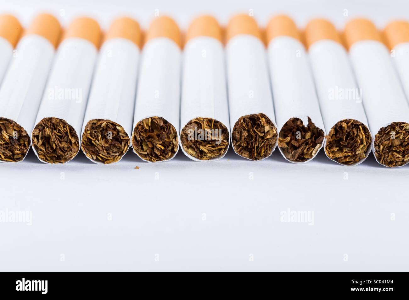 Cigarettes alignées montrant le tabac à l'intérieur à une distance proche Banque D'Images
