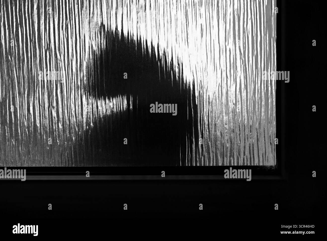Silhouette d'un chat derrière un verre texturé avec cadre de fenêtre, figure ombragée en noir et blanc abstrait Banque D'Images
