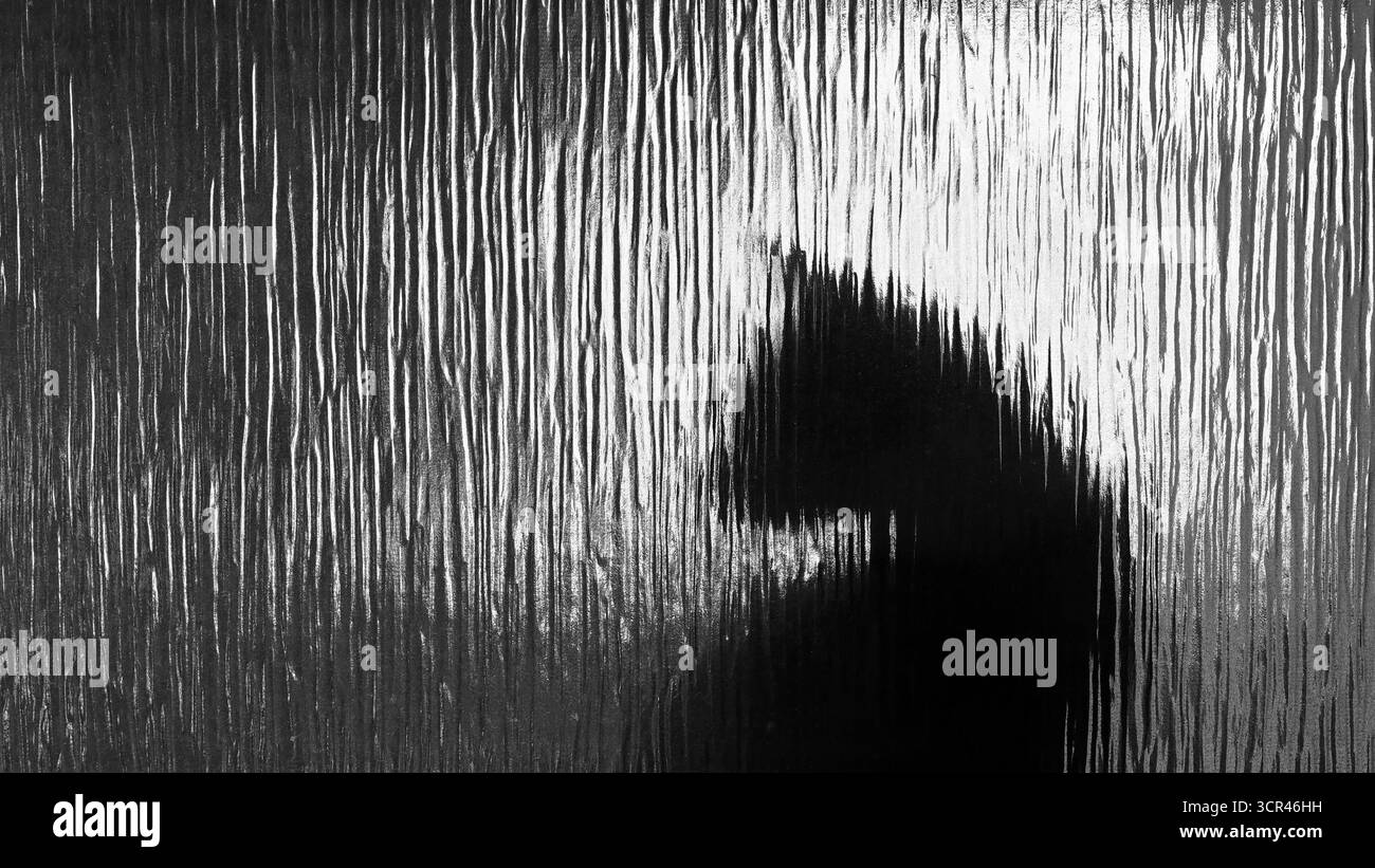 Silhouette d'un chat derrière du verre texturé, figure ombragée en noir et blanc abstrait, au format écran large Banque D'Images