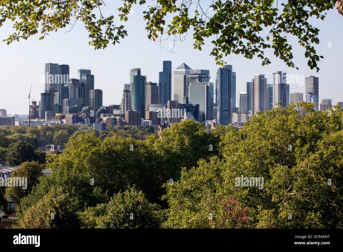 Horizon londonien de Canary Wharf avec ses gratte-ciel encadrés par les arbres verdoyants de Greenwich Park sous un ciel bleu clair. Londres, Royaume-Uni Banque D'Images
