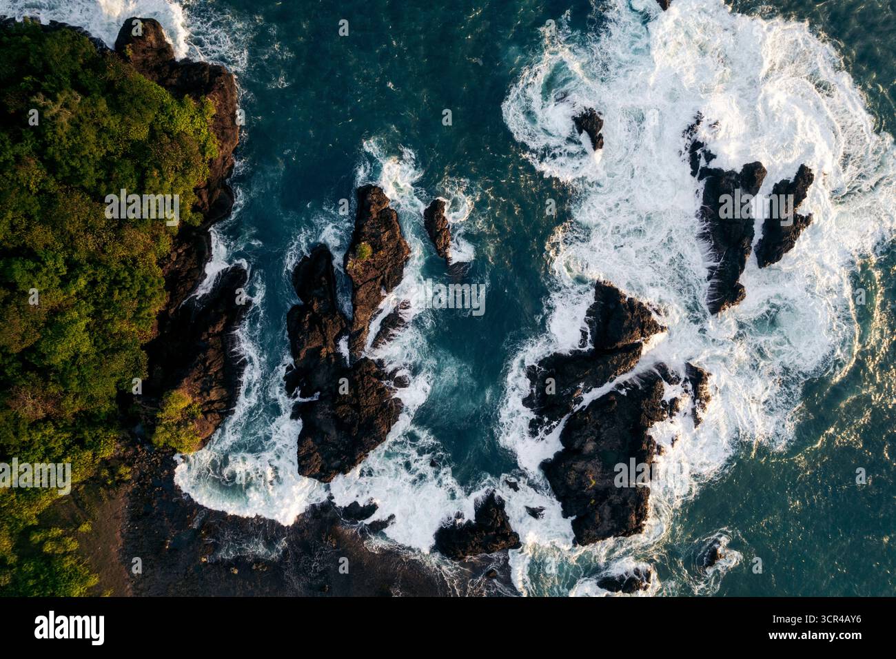 Vue aérienne de la côte accidentée avec des vagues écrasantes et une végétation luxuriante. Nias du Sud, Sumatra du Nord, Indonésie Banque D'Images Vue aérienne de la côte accidentée avec des vagues écrasantes et une végétation luxuriante. Nias du Sud, Sumatra du Nord, Indonésie Banque D'Images