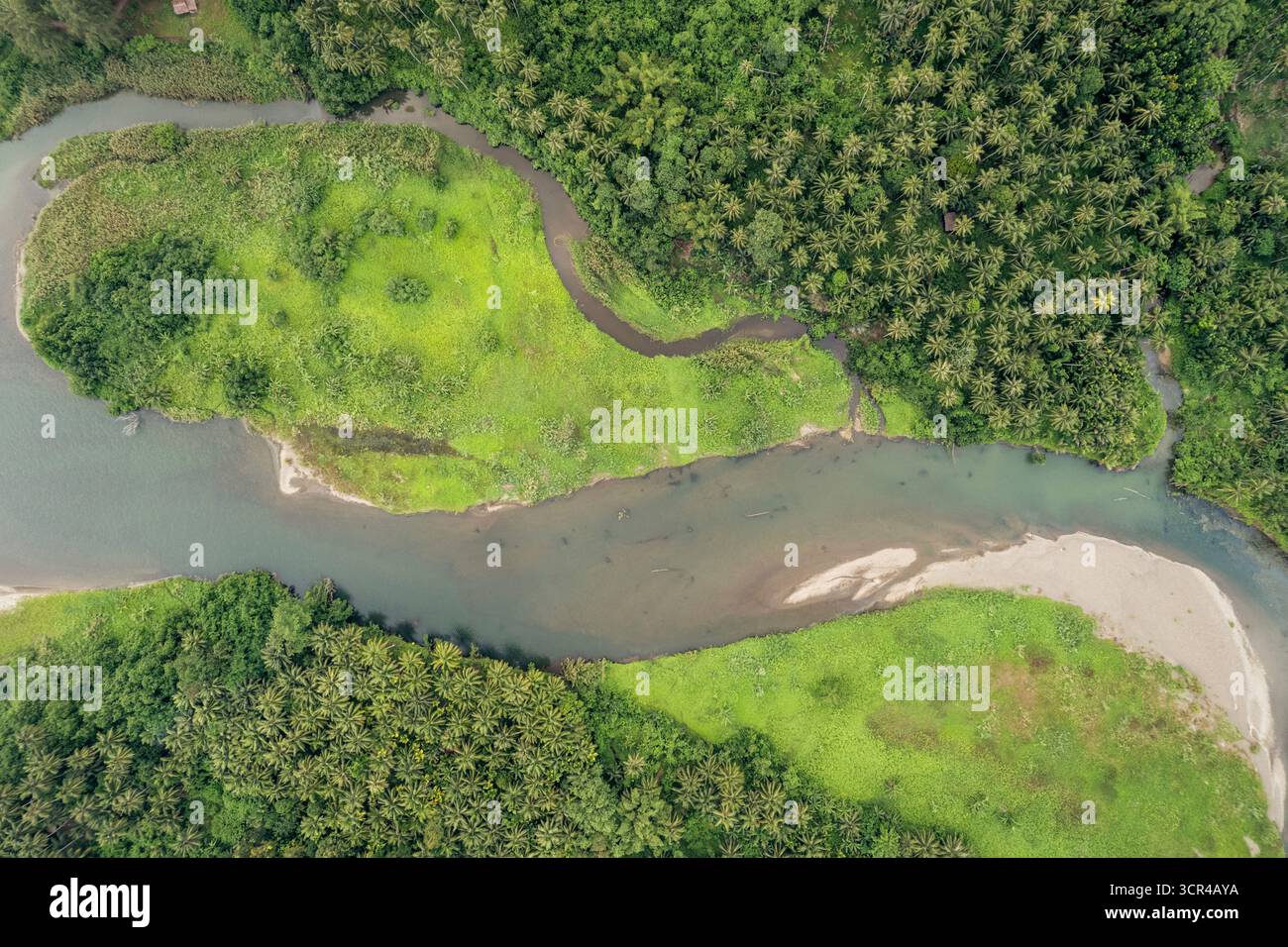 Vue aérienne d'un paysage verdoyant luxuriant et rivière sinueuse entourée d'une végétation forestière dense. Nias du Sud, Sumatra du Nord, Indonésie Banque D'Images Vue aérienne d'un paysage verdoyant luxuriant et rivière sinueuse entourée d'une végétation forestière dense. Nias du Sud, Sumatra du Nord, Indonésie Banque D'Images