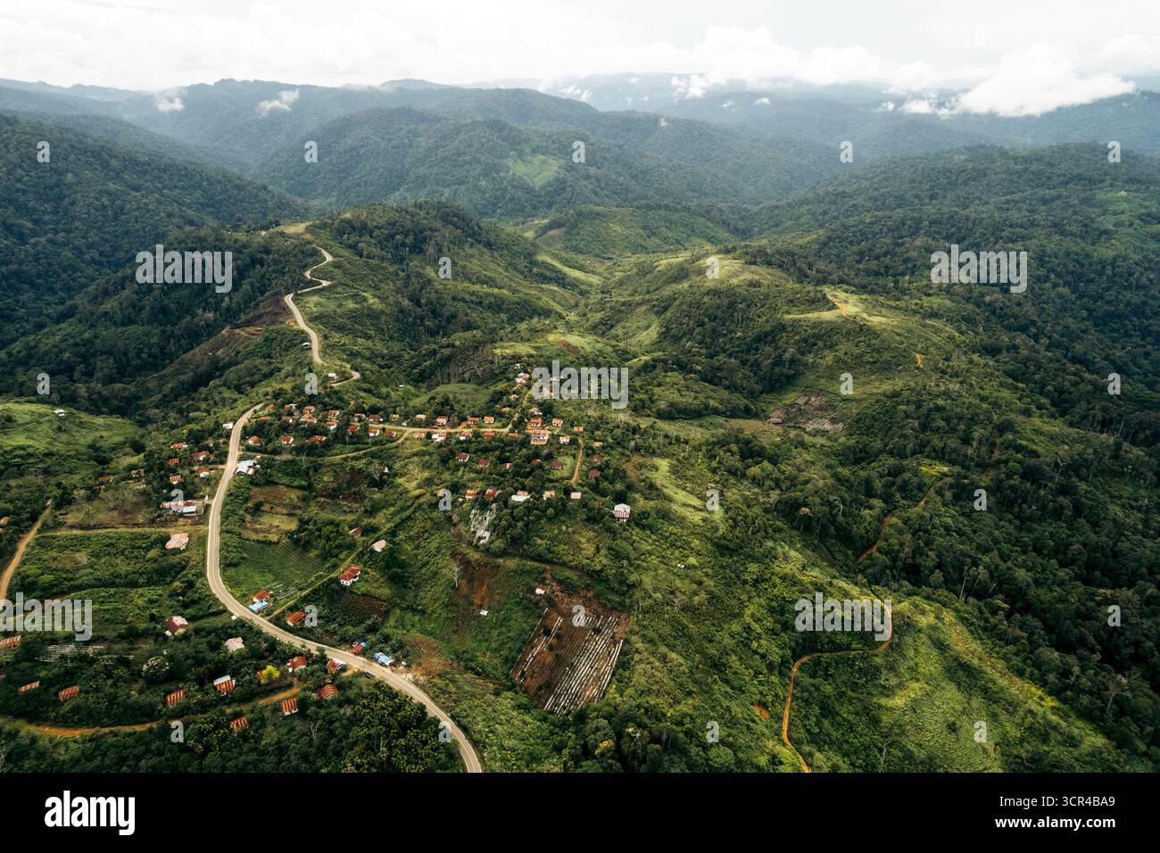 Vue aérienne des routes sinueuses dans la jungle de la régence de Nagan Raya, à Aceh, Sumatra, Indonésie Banque D'Images Vue aérienne des routes sinueuses dans la jungle de la régence de Nagan Raya, à Aceh, Sumatra, Indonésie Banque D'Images