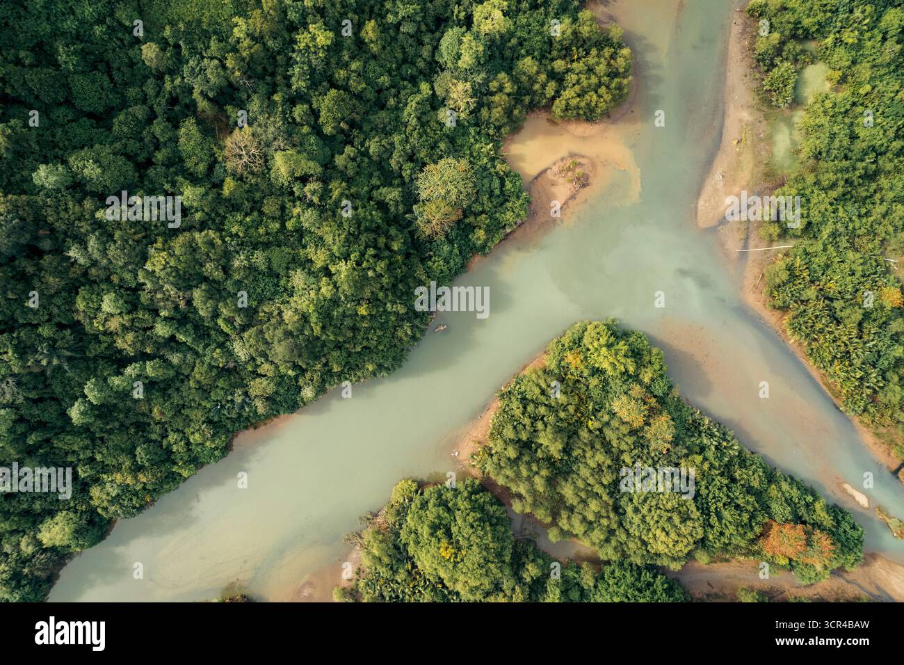 Vue aérienne d'une forêt verdoyante entrecoupée par des voies navigables sinueuses. Régence d'Aceh Jaya, Aceh, Sumatra, Indonésie Banque D'Images Vue aérienne d'une forêt verdoyante entrecoupée par des voies navigables sinueuses. Régence d'Aceh Jaya, Aceh, Sumatra, Indonésie Banque D'Images