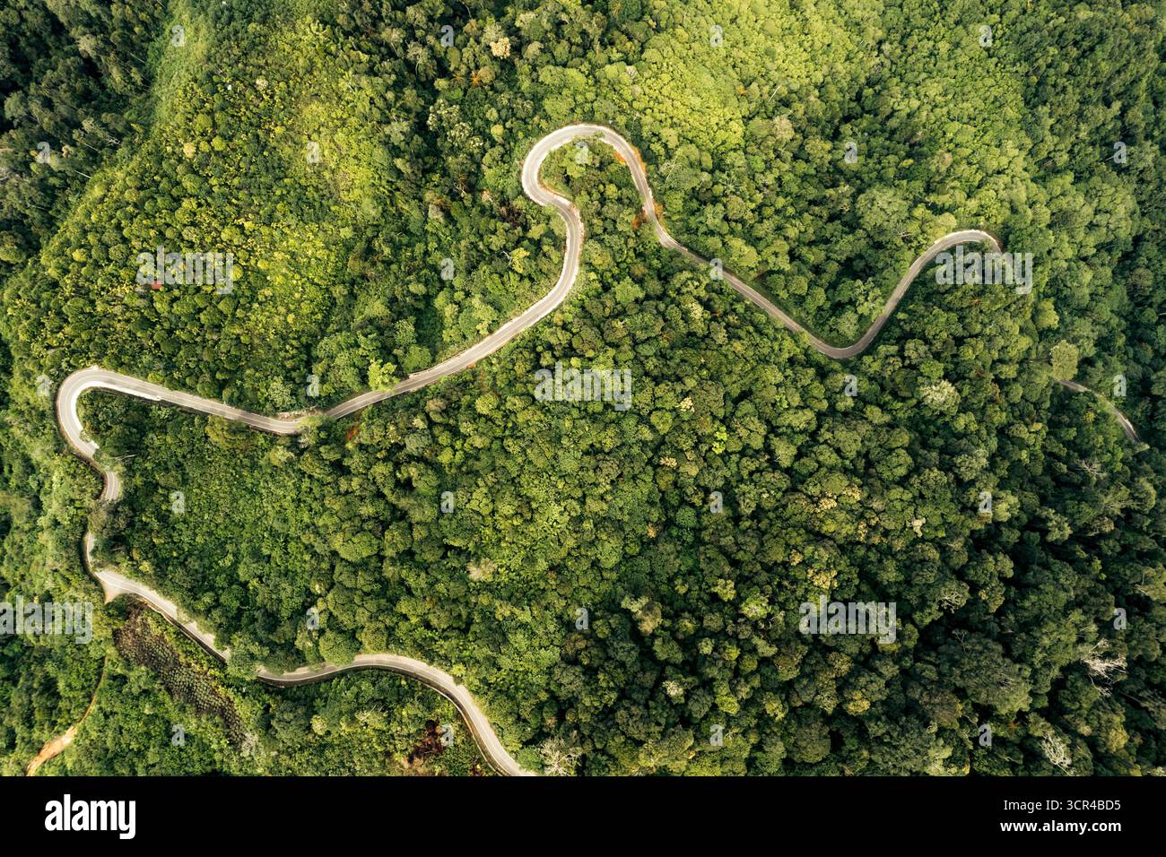 Vue aérienne des routes sinueuses dans la jungle de la régence de Nagan Raya, à Aceh, Sumatra, Indonésie Banque D'Images Vue aérienne des routes sinueuses dans la jungle de la régence de Nagan Raya, à Aceh, Sumatra, Indonésie Banque D'Images