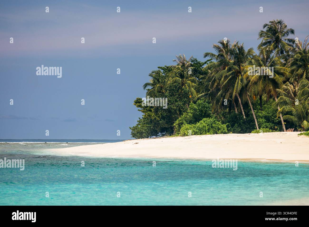 Plage tropicale avec palmiers et océan turquoise sous un ciel bleu clair. Mentawai, Sumatra Ouest, Indonésie Banque D'Images Plage tropicale avec palmiers et océan turquoise sous un ciel bleu clair. Mentawai, Sumatra Ouest, Indonésie Banque D'Images