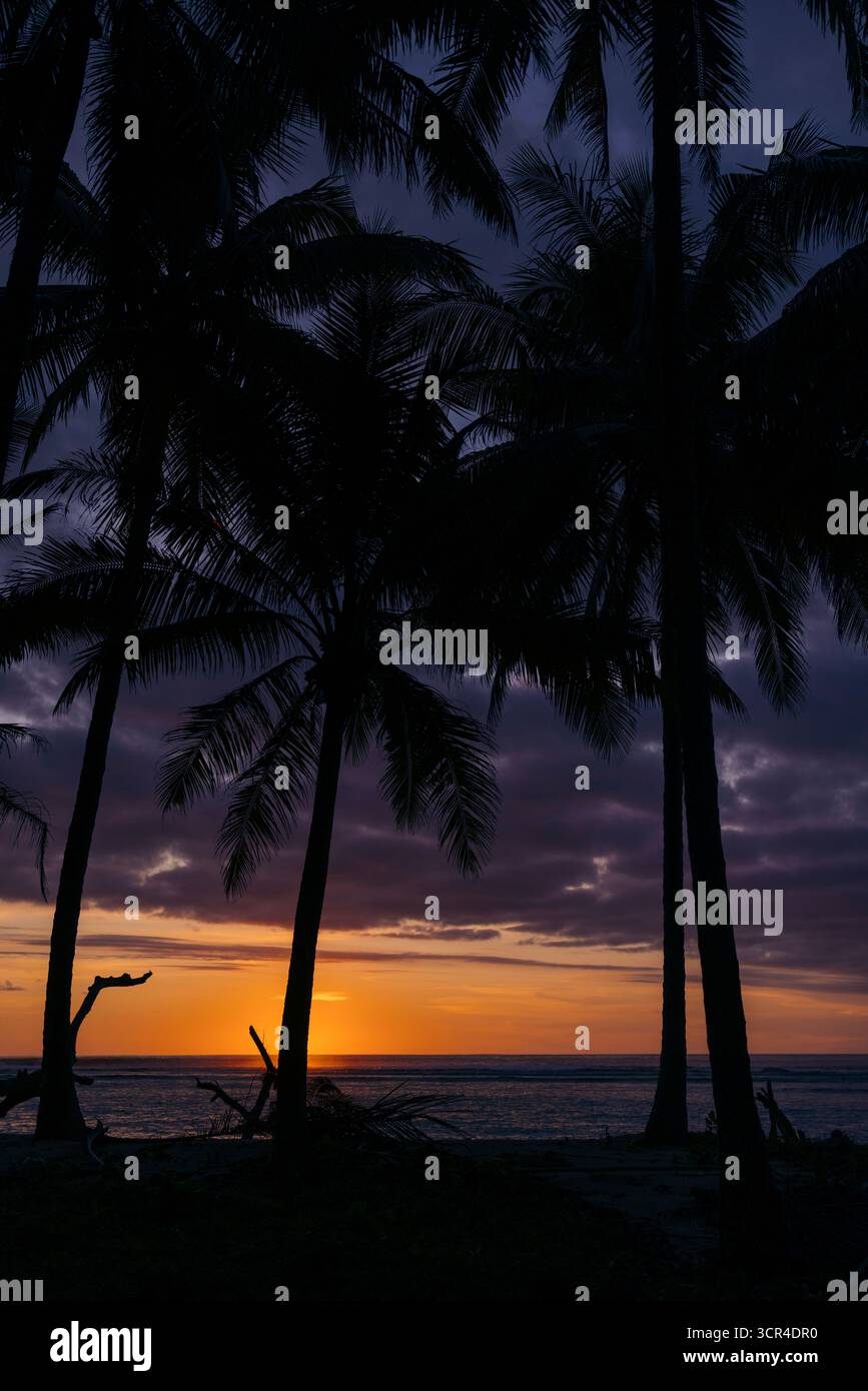 Palmiers silhouettés contre un coucher de soleil vibrant sur l'océan avec des nuages colorés. Krui, Lampung, Sumatra, Indonésie Banque D'Images Palmiers silhouettés contre un coucher de soleil vibrant sur l'océan avec des nuages colorés. Krui, Lampung, Sumatra, Indonésie Banque D'Images