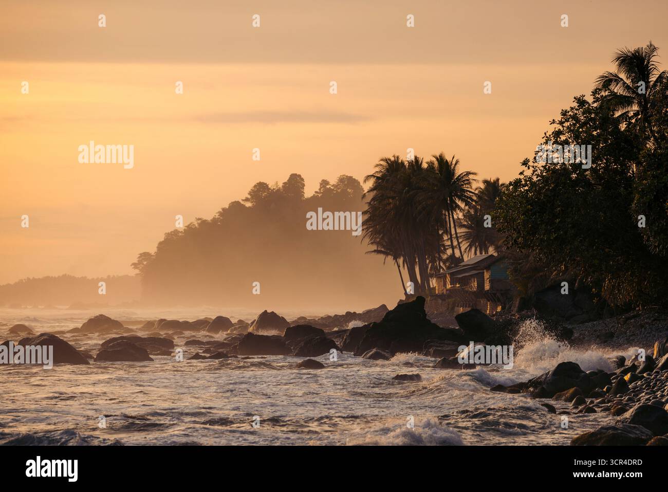 Côte rocheuse au coucher du soleil avec des palmiers et de douces vagues océaniques. Krui, Lampung, Sumatra, Indonésie Banque D'Images Côte rocheuse au coucher du soleil avec des palmiers et de douces vagues océaniques. Krui, Lampung, Sumatra, Indonésie Banque D'Images