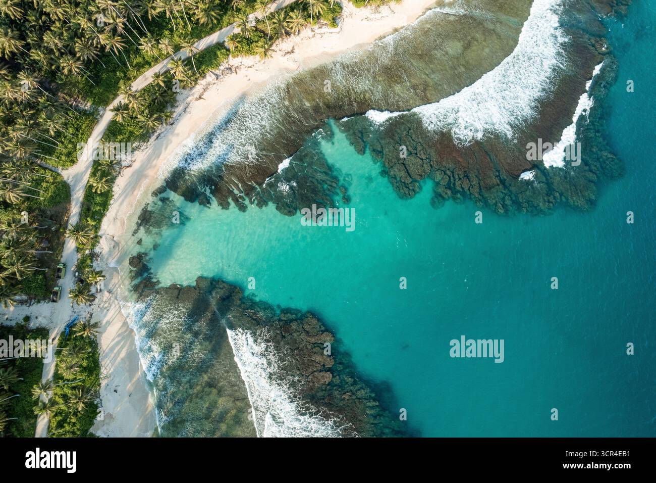 Vue aérienne d'une plage tropicale avec de l'eau turquoise et des palmiers luxuriants. Région de Katiet, à Mentawai, Sumatra Ouest, Indonésie Banque D'Images Vue aérienne d'une plage tropicale avec de l'eau turquoise et des palmiers luxuriants. Région de Katiet, à Mentawai, Sumatra Ouest, Indonésie Banque D'Images