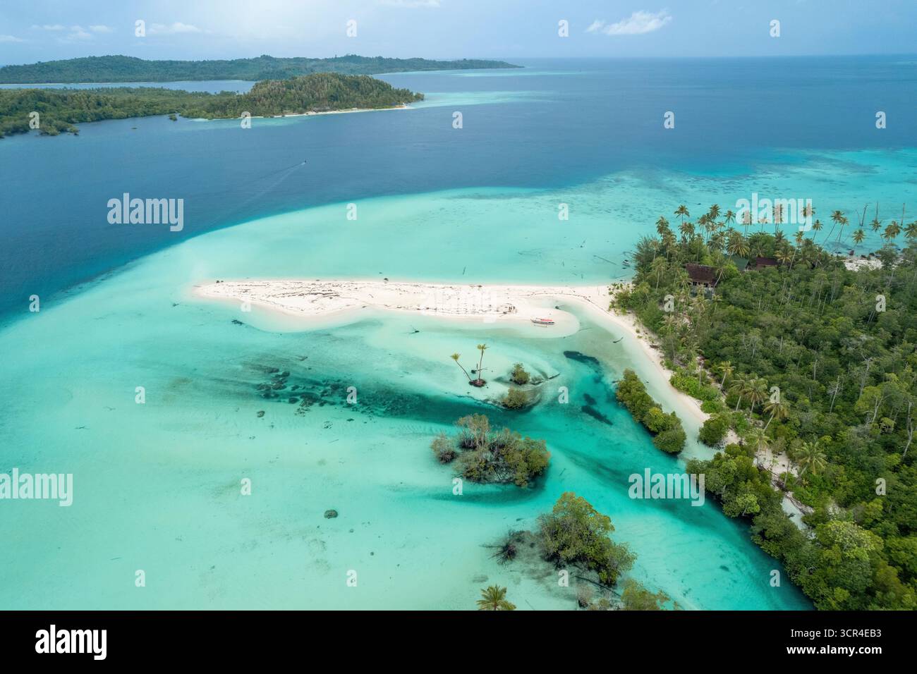 Île tropicale avec une eau bleue vibrante et 3 Sisters Palm Terrace entourée par des vagues claires de l'océan. Mentawai, Sumatra Ouest, Indonésie Banque D'Images Île tropicale avec une eau bleue vibrante et 3 Sisters Palm Terrace entourée par des vagues claires de l'océan. Mentawai, Sumatra Ouest, Indonésie Banque D'Images