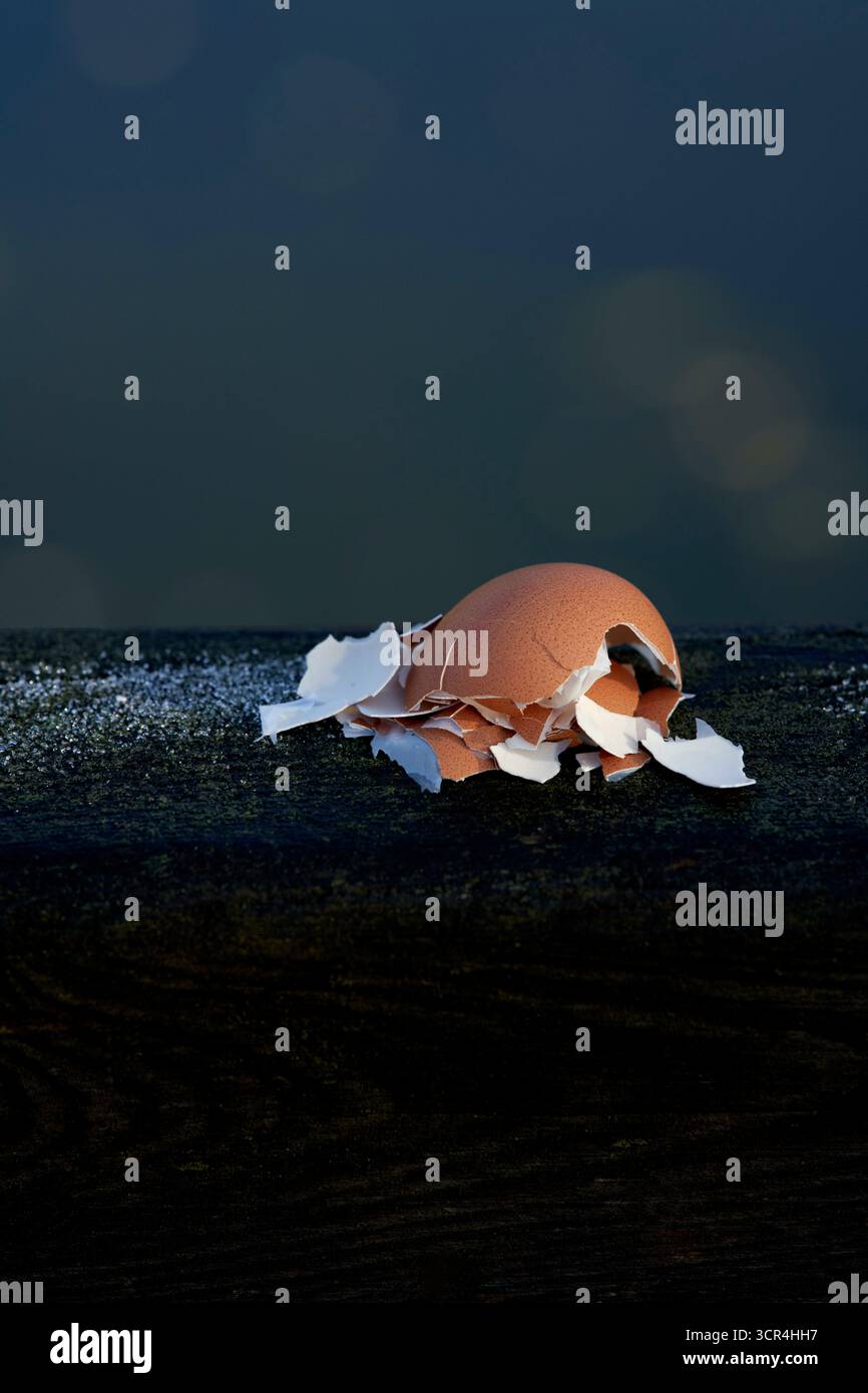 Coquille d'œuf craquée sur une surface sombre avec un fond bleu. Banque D'Images