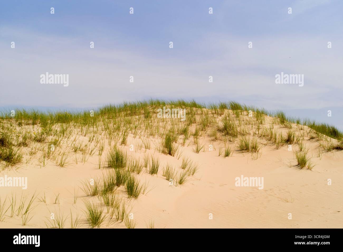 Dunes de sable avec germination d'herbe sous un ciel partiellement nuageux. Mer du Nord, Allemagne Banque D'Images