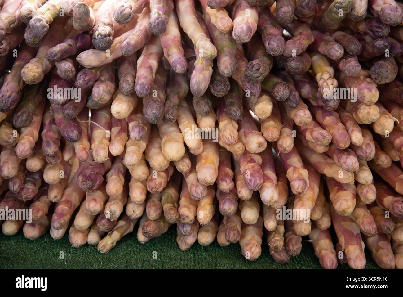 Asperges de jardin ou pointes d'Aspaagus, Asparegus officinalis, en vente sur le marché à Aix-en-Provence Provence France Banque D'Images