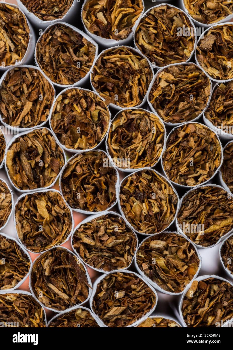 Feuilles de tabac serrées disposées en paquets circulaires prêtes à être transformées et emballées Banque D'Images