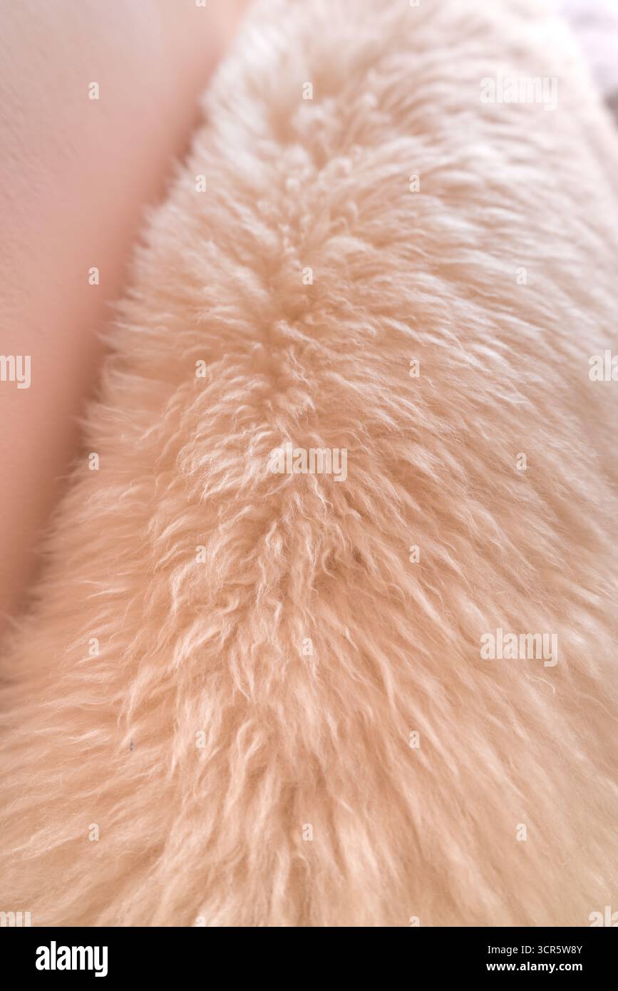 Gros plan de la surface douce en laine moelleuse beige avec texture confortable Banque D'Images