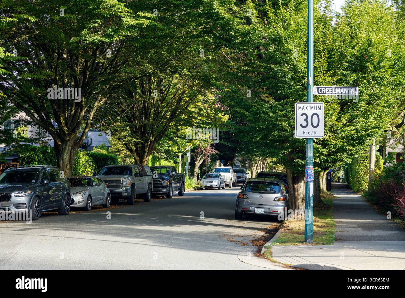 Vancouver, Canada - 15 septembre 2025 : Serene Creelman Avenue à Kitsilano, Vancouver, bordée d'arbres verdoyants et de voitures garées Banque D'Images